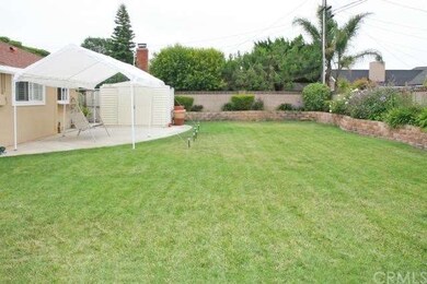 Huge Wonderful Backyard