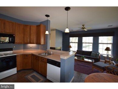 163 W Matthew Wood Way unit 56, Glen Mills, PA 19342 - photo 7