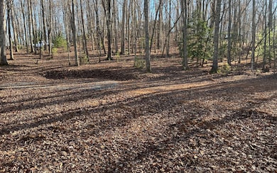Additional View