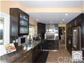 Gourmet remodeled kitchen