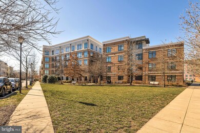 915 N Patrick St unit 102, Alexandria, VA 22314 - photo 3