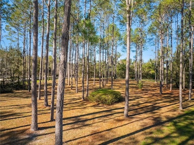 2004 SW 188th St, Newberry, FL 32669 - photo 4