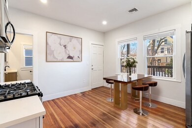 60 Lithgow St unit 2, Dorchester Center, MA 02124 - photo 6