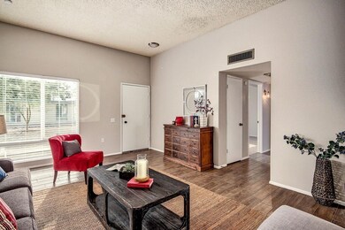 0003-Thunderbird (5)