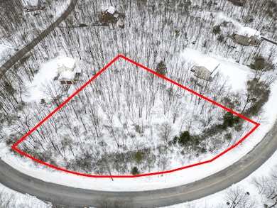 Lot 103 Russell Ct, Indian Mountain Lake, PA 18330 - photo 2