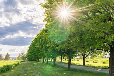 NKA E Day Mt Spokane Rd unit North Parcel, Mead, WA 99021 - photo 3