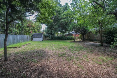Back Yard (1 of 1)-2