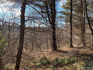 tbd N Dexter Rd, Sangerville, ME 04479 - photo 4