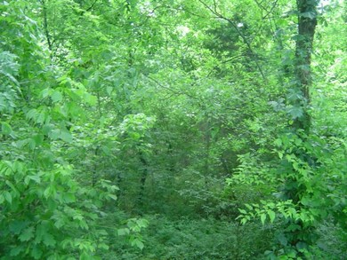 0 Mill Rd, Shelbyville, TN 37160 - photo 4