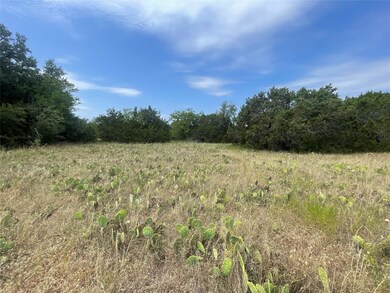 8153 Cactus Ct, Whitney, TX 76692 - photo 5