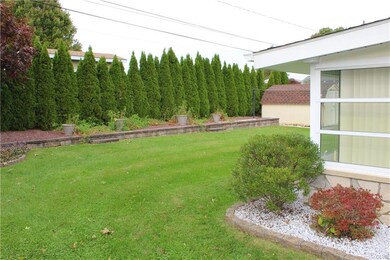 Side view of yard and shed