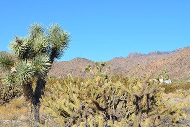 11900 S Alan Rd, Yucca, AZ 86438 - photo 2