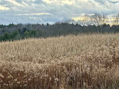 181 Short Crumhorn Rd, Maryland, NY 12116 - photo 2