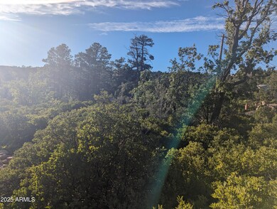 922 Old Settler Trail unit 390, Linden, AZ 85901 - photo 5