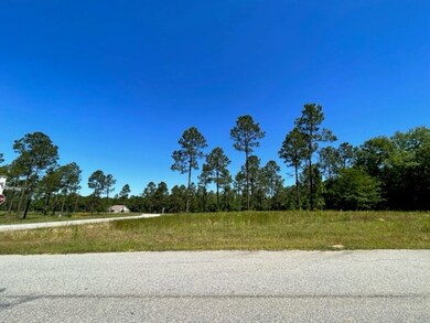 00 Hidden Hills Dr, Vidalia, GA 30474 - photo 2