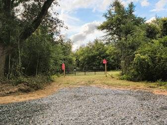 0 Grimsley Rd, Gordon, AL 36343 - photo 4