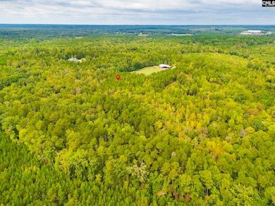 Lot 22 Creekside Way, Ridgeway, SC 29130 - photo 6