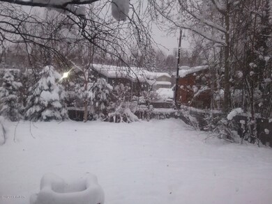 Back Yard 2