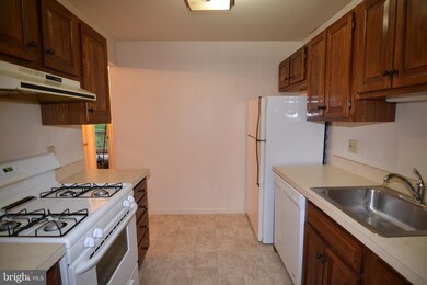 10 Maplewood Ave unit 3B, Mohnton, PA 19540 - photo 7