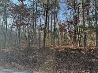 1887 Dogwood Dr, Chattanooga, TN 37406 - photo 5