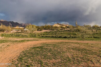 20230206-IMG_6605