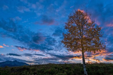 TwilightAspen