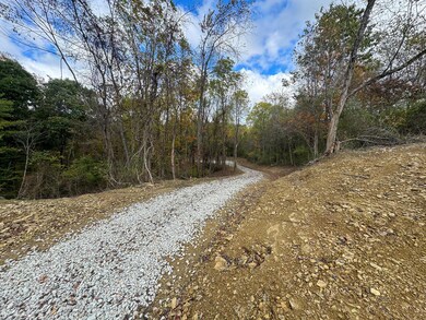 7447 Township Road 215a unit (Tract 6 at Shawnee, Corning, OH 43730 - photo 7