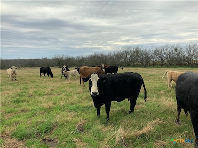 unlisted-address, Nixon, TX 78140 - photo 2