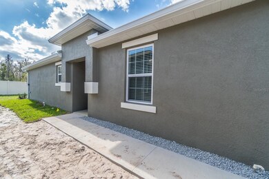 17897 Turning Leaf Cir, Land O Lakes, FL 34638 - photo 3