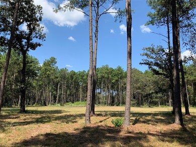 25692 Joseph Rd, Hockley, TX 77447 - photo 3