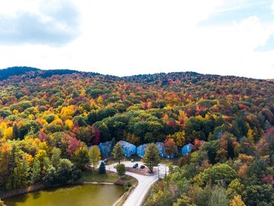 33 Eastside Ln unit 7, Francestown, NH 03043 - photo 5
