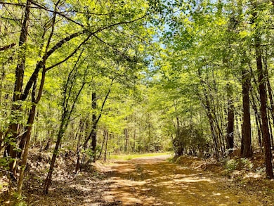 889 Rd, Minden, LA 71055 - photo 7