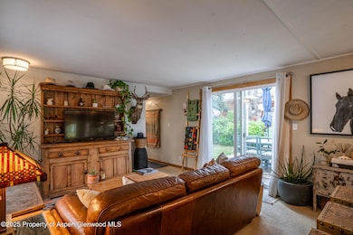 137 Ridge Trail, Aspen, CO 81611 - photo 3