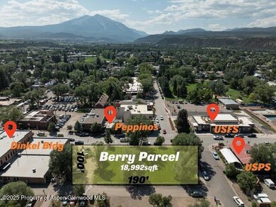 579 Main St, Carbondale, CO 81623 - photo 4