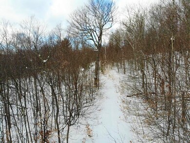 0 Cushing Rd, Hartford, VT 05001 - photo 5