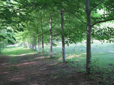 2Driveway Rossiter Land