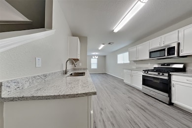 12522 Sterlingstone Dr, Houston, TX 77066 - photo 4