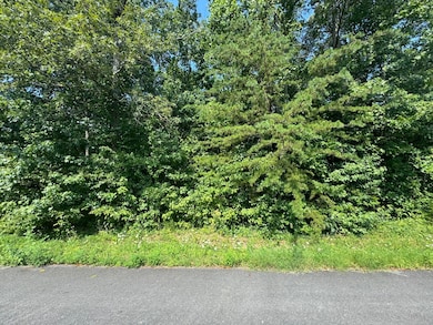 32 Hickory Rd, Russell Springs, KY 42642 - photo 2