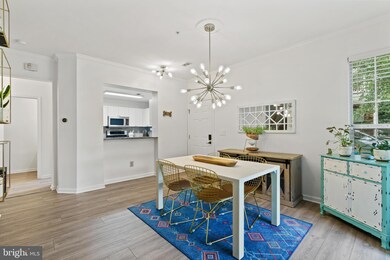 45051 Brae Terrace unit 105, Ashburn, VA 20147 - photo 7