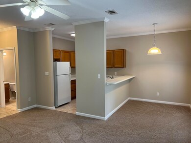 732 E MacK Bayou Dr unit 6, Santa Rosa Beach, FL 32459 - photo 6