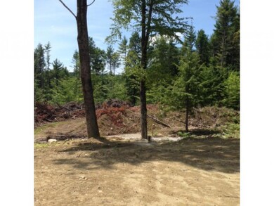 408/157.2 Brown Ridge, Weare, NH 03281 - photo 5