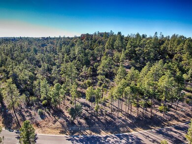 1870 S Pleasant View Dr, Show Low, AZ 85901 - photo 3