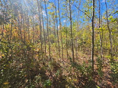 059-007 Soper's Mill Rd, Auburn, ME 04210 - photo 3