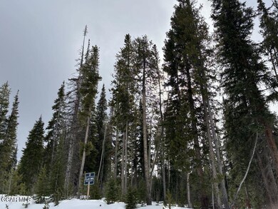 2362 Pioneer Trail, Fraser, CO 80482 - photo 4