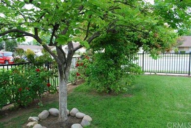 Permission, orange, and mango trees