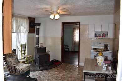 118 4th C St, Marion, NC 28752 - photo 4