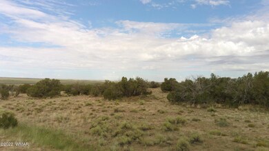 3 ACR N6551, St. Johns, AZ 85936
