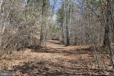 0 Governors Point Ln unit 1002371518, Unionville, VA 22567 - photo 7