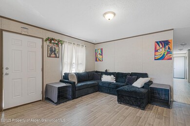 42 Silverton Place, Parachute, CO 81635 - photo 3