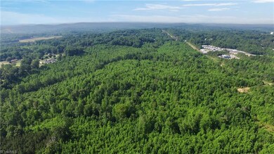 0000 Crestview Church Rd, Asheboro, NC 27205 - photo 7